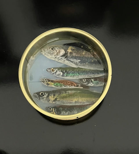 Ortaire de Coupigny - Fish Can Round II - 16,5cm