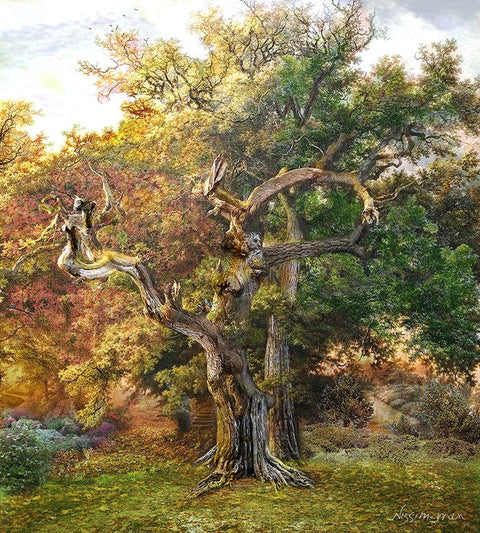 Nissim Men - Master Tree